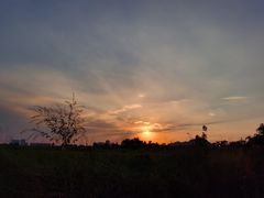 -光明小镇欢乐田园
