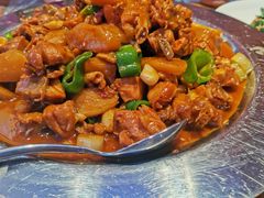 -俭寨大盘芦花土鸡·小公鸡·烧烤新疆菜(云通店)