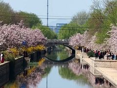 -元大都城垣遗址公园