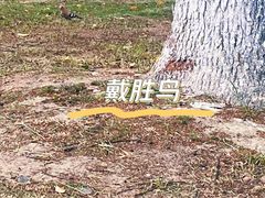 -昆山城市公园
