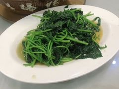 炝炒苕尖-西木兔(大圆祥店)