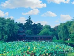 -橘子洲景区