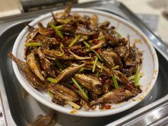 -明月东一酒店·菲斯特自助餐厅