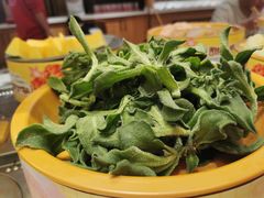 -龍歌自助小火锅(市南金茂湾店)