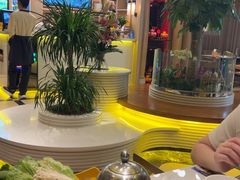 -润园四季椰子鸡火锅(卓越INTOWN店)