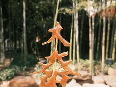 -东坡赤壁风景名胜区