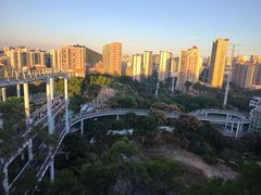 -仙岳公园