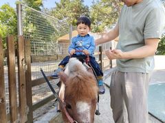 -杭州千岛湖开元度假村
