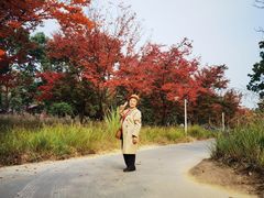 -白鹭湾湿地公园