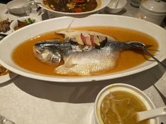 -金美华轩(东方路齐鲁店)
