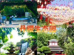 -丹樱生态园