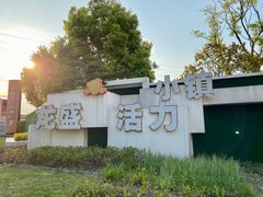 -龙盛活力小镇