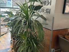 -Wagas沃歌斯(富力广场店)