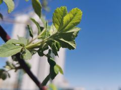 -北京银行(上地支行)
