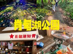 -同里国家湿地公园
