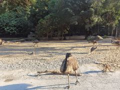 -广州长隆野生动物世界