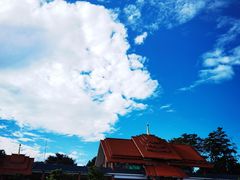 -大屏嶂森林公园