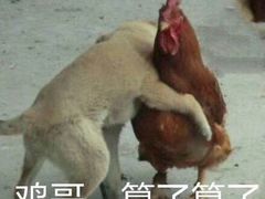 -聚成源(芦庄店)