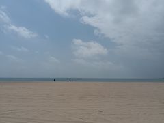 -东郊椰林
