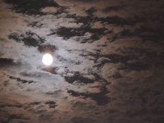 东港音乐喷泉广场-东港音乐喷泉广场