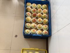 -老袁家蜜桃农场·阳山水蜜桃