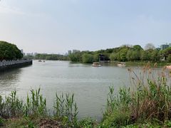 -八大山人梅湖景区