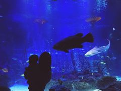 -沈阳海洋探索中心