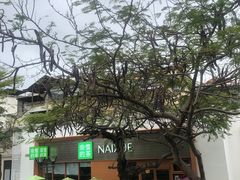 -奈雪的茶(大梅沙8号仓店)