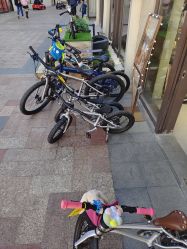 -Early Rider 儿童自行车(蓝色港湾店)