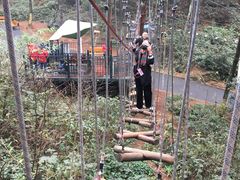 -梦幻奥陶纪景区