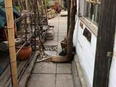 -斯多格书乡(北京大学畅春园店)