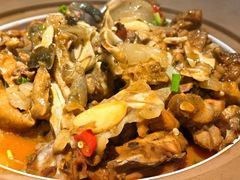 -洞庭家宴·头牌甲鱼(广渠门店)