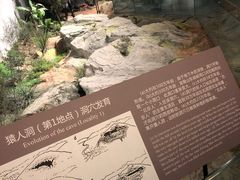 -北京周口店北京人遗址博物馆