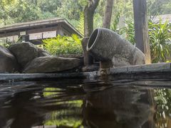 -融汇温泉