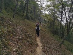 -丰都鬼城名山景区