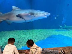 -华夏文旅海洋公园