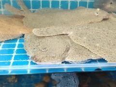 -聚德福海鲜家常菜(刘庄店)