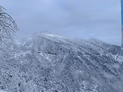 -瓦屋山景区