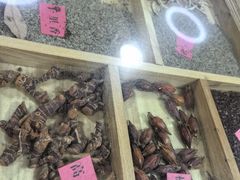 -陇上全荟兰州传统牛肉面(延吉路店)