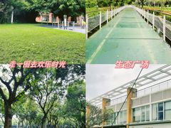 -燕晗山郊野公园