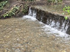 -桤木河湿地公园