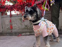 -终南山南五台景区