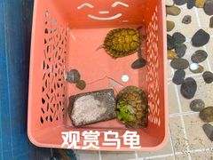 -二姐家三个拿手菜·北塘海鲜·大馅锅贴王(北辰店)