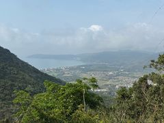 -三亚亚龙湾人间天堂鸟巢度假村