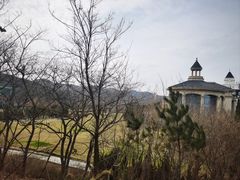 -棒棰岛宾馆景区