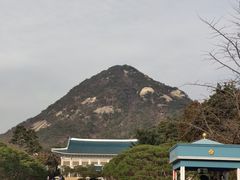 -通仁市场