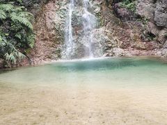 -南海湾森林生态园