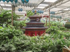 -南宫五洲植物乐园