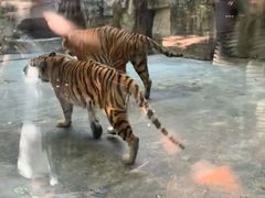 -南昌动物园