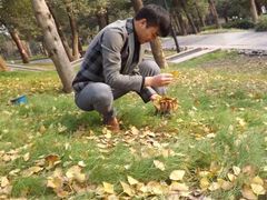 -重庆市江北嘴中央商务区中央公园